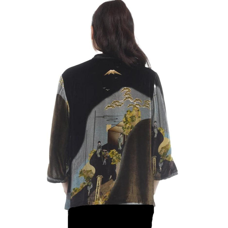 Citron Japanese Edo Life Inspired Velvet Blouse - 1213ELJ