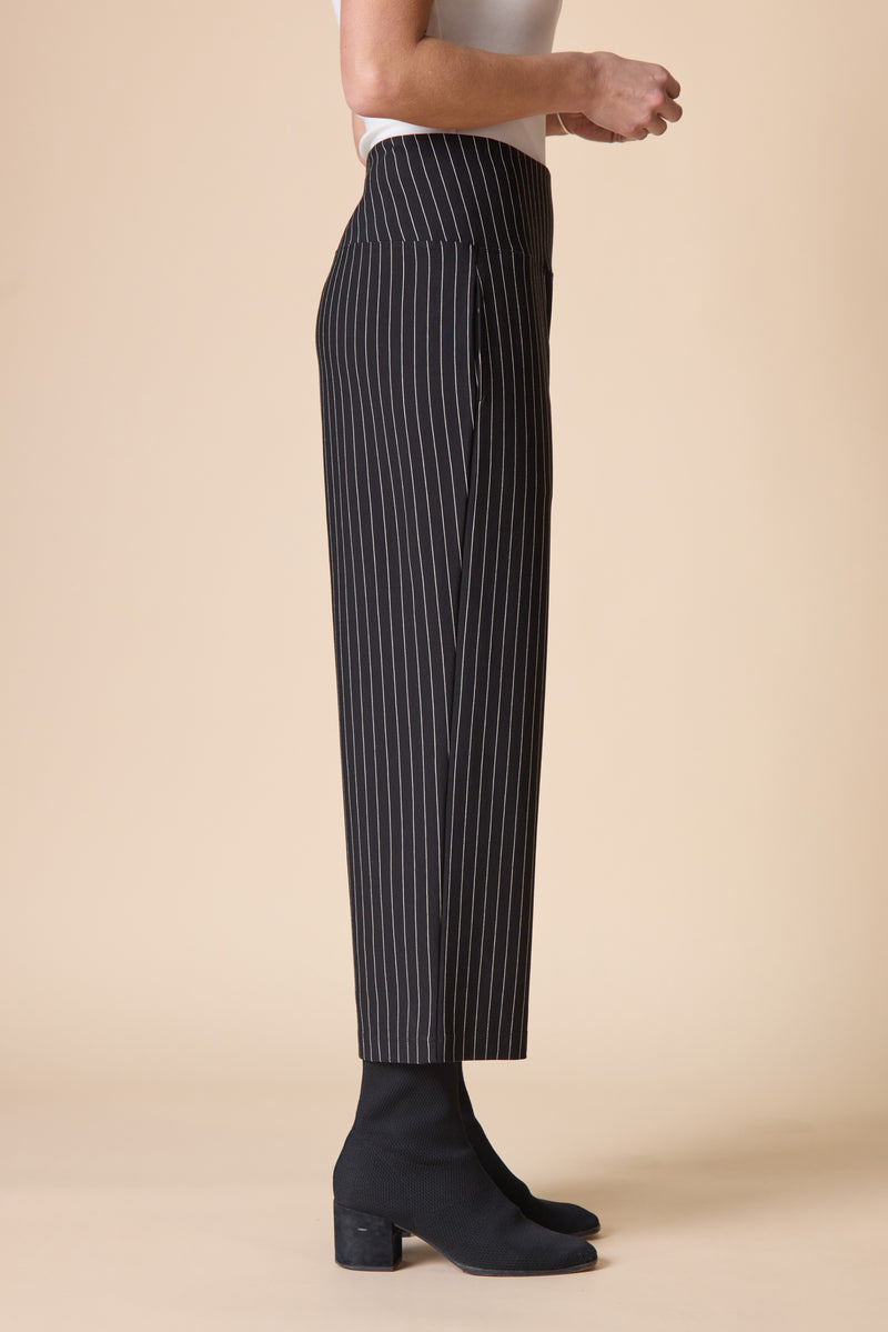 Habitat Stripe Flood Pant - Black - image 2