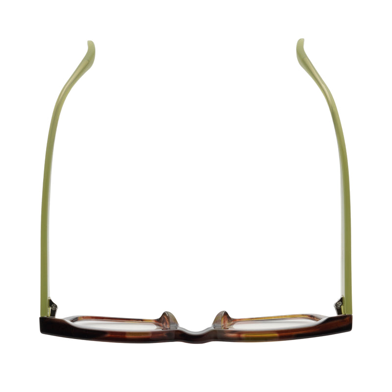 RAZ | Brown Green Stripes | Lime Green